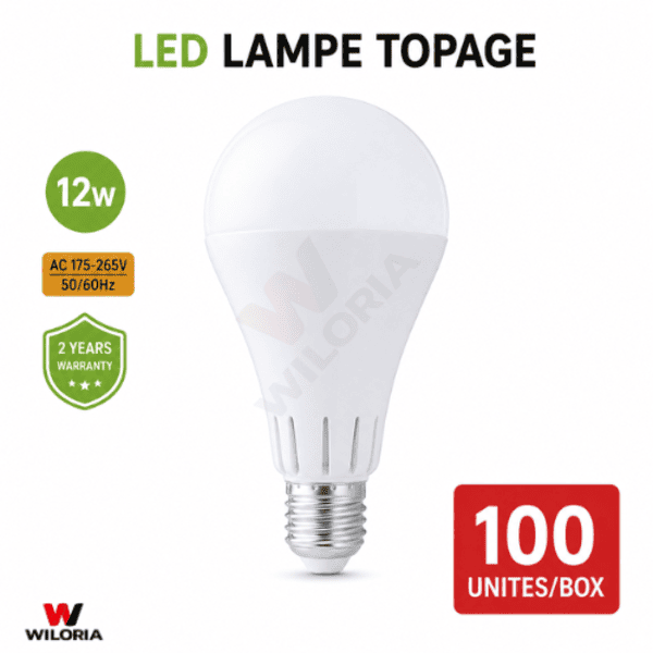 Lampe LED TOPAGE 12W – Économie d&rsquo;énergie jusqu&rsquo;à 80%