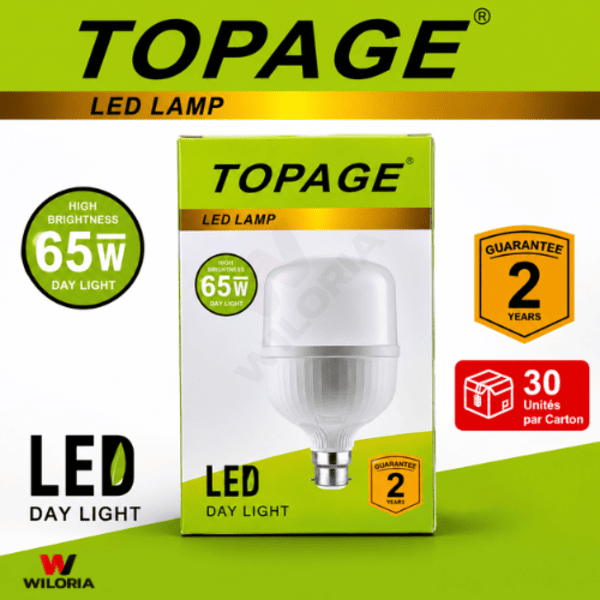 Lampe LED TOPAGE 65W – Économie d&rsquo;énergie jusqu&rsquo;à 80%