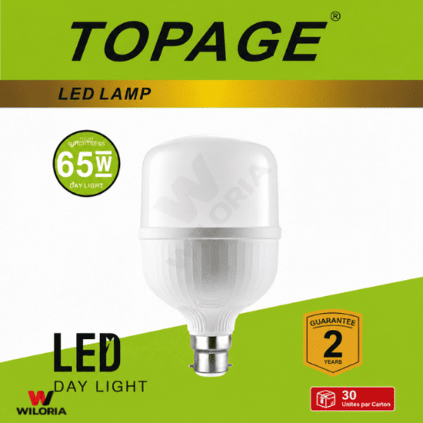 Lampe LED TOPAGE 65W – Économie d&rsquo;énergie jusqu&rsquo;à 80%